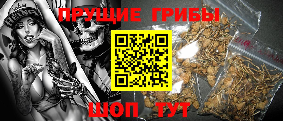 Кудымкар  Псилоцибиновые грибы GOLDEN TEACHER  Галлюциногенные грибы мухоморы  где продают наркотики  Вход с VPN 